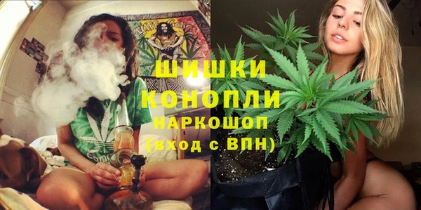 крисы Вяземский
