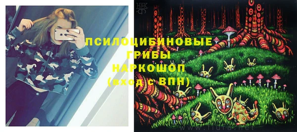 крисы Вяземский