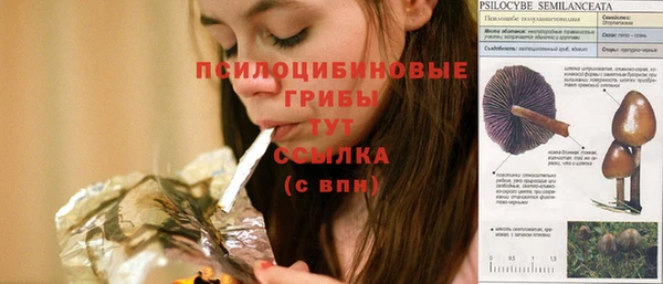 крисы Вяземский